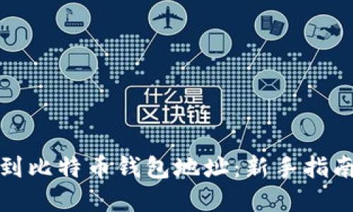 如何轻松找到比特币钱包地址：新手指南与实用技巧