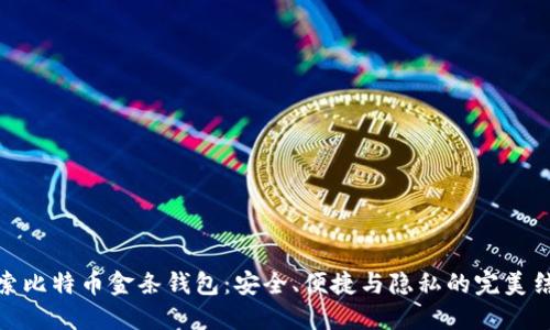 探索比特币金条钱包：安全、便捷与隐私的完美结合