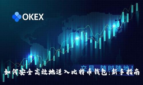 如何安全高效地进入比特币钱包：新手指南