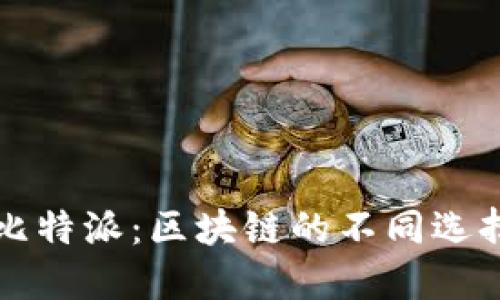 币信钱包与比特派：区块链的不同选择与使用体验