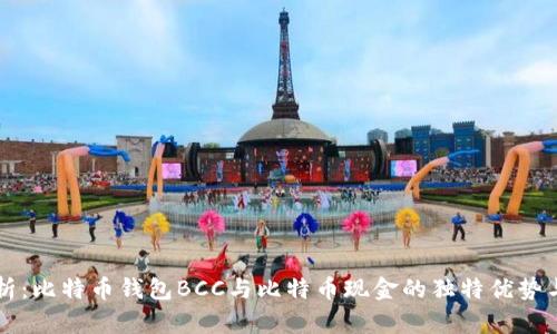 深度解析：比特币钱包BCC与比特币现金的独特优势与创新点