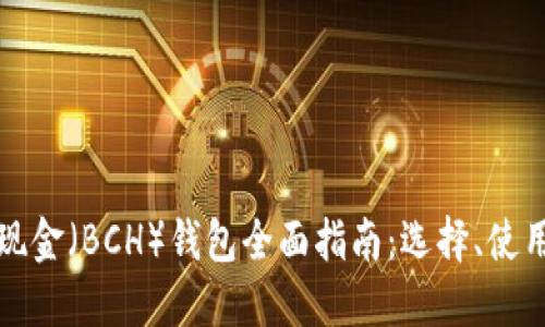 比特币现金（BCH）钱包全面指南：选择、使用与安全